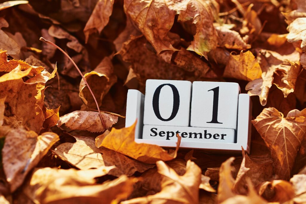 Wooden calendar block with date 1 september on a falling autumn leaves background